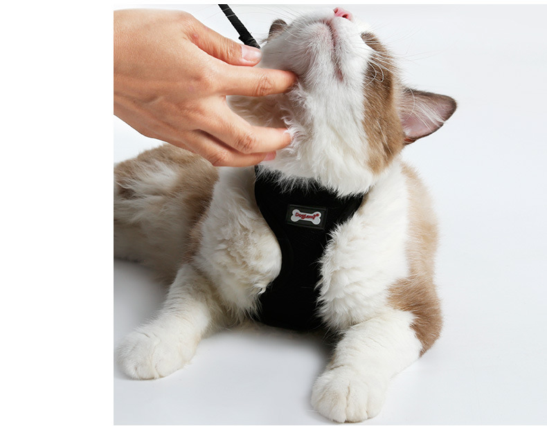 Petvora™ ComfortFit Cat Harness