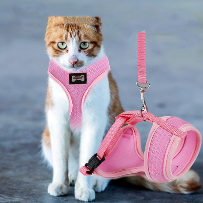 Petvora™ ComfortFit Cat Harness