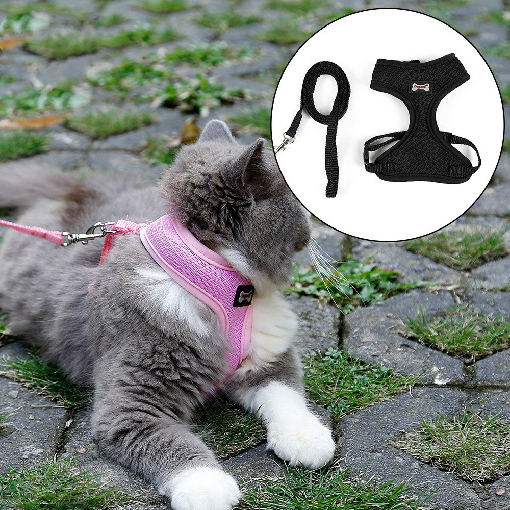 Petvora™ ComfortFit Cat Harness