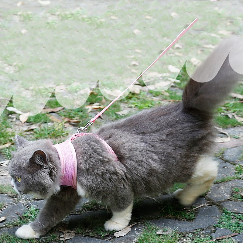 Petvora™ ComfortFit Cat Harness