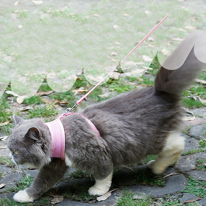 Petvora™ ComfortFit Cat Harness