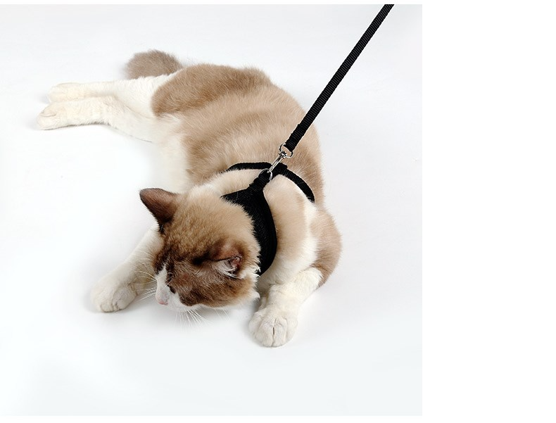 Petvora™ ComfortFit Cat Harness