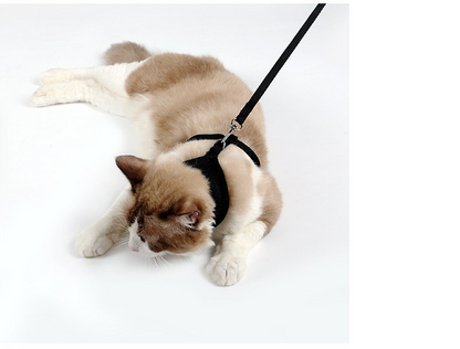 Petvora™ ComfortFit Cat Harness